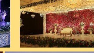 Reception Floral Wall Stage - Villa in Udaipur