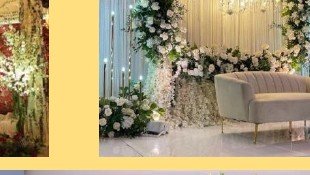 Greenery Arch Stage - Villa in Udaipur